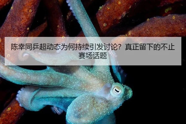 chen-xing-tong-ping-chao-dong-tai-wei-he-chi-xu-yin-fa-tao-lun-zhen-zheng-liu-xia-de-bu-zhi-sai-chang-hua-ti-2-372.jpg